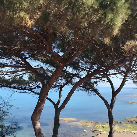 Le Terrazze Sul Mare - Capo * Cefalu