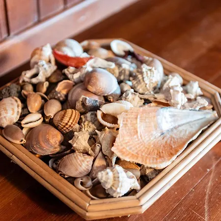 Le Terrazze Sul Mare - Capo * تْشيفالو